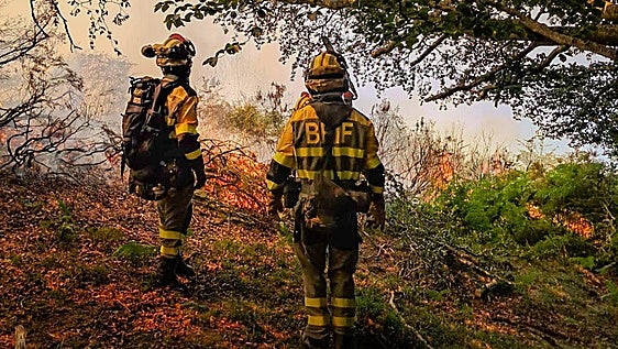 Tres grandes incendios y un conato diario de fuego en Álava