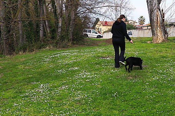 Los habitantes de Miranda podrán votar si quieren que los perros vayan sueltos