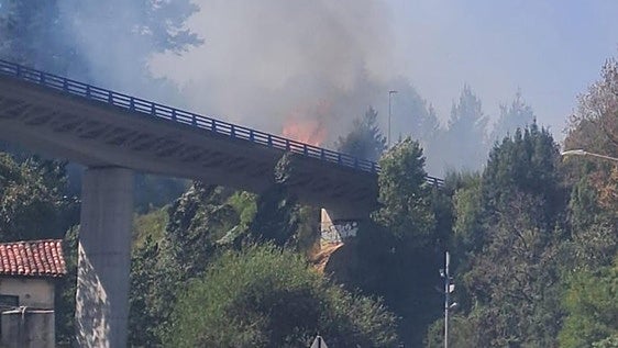 Un incendio en Bermeo obliga a cortar la carretera BI-631 durante cerca de hora y media