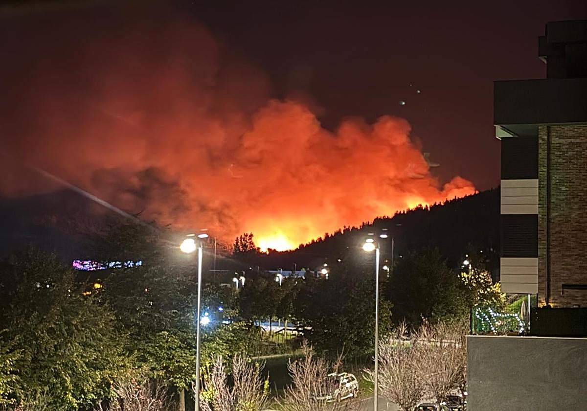 Los bomberos tratan de extinguir un incendio en una zona boscosa de Derio cercana al aeropuerto