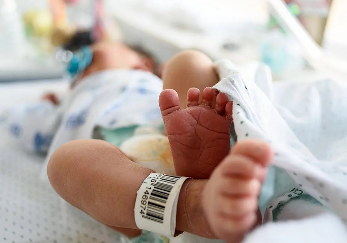 La Audiencia Provincial de Bizkaia reconoce la paternidad de un hombre sin disponer de pruebas de ADN