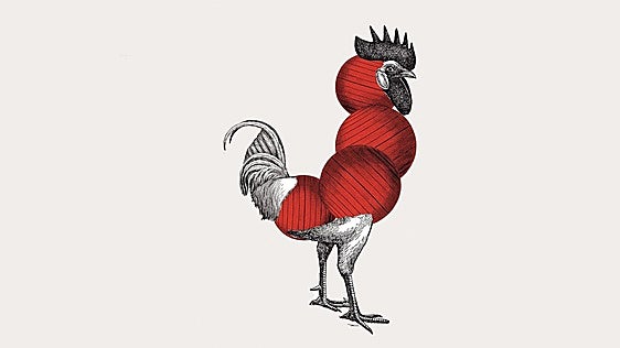 La anatomía perdida del pollo
