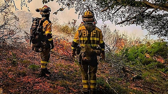 El medio ambiente sufre y nosotros con él