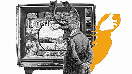 La ficción como refugio en el duelo