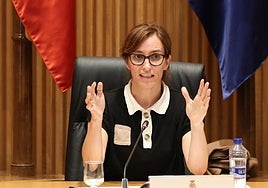 Mónica García, durante una comparecencia reciente con motivo del Día Nacional del Daño Cerebral Adquirido