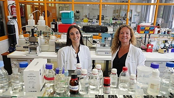 Las investigadoras vascas que desarrollan 'minicerebros' con células de la nariz
