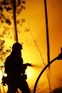 El Gobierno desplegará «medios sin precedentes» para controlar los incendios