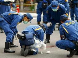 Un equipo de investigadores de la Policía revisa el lugar el que ha sido asesinada una de las siete víctimas en el centro de Tokio. /EFE