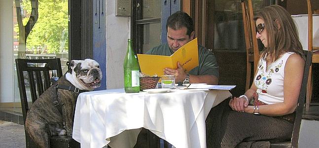 Una pareja miran la carta de un restaurante, junto a su mascota. / Archivo