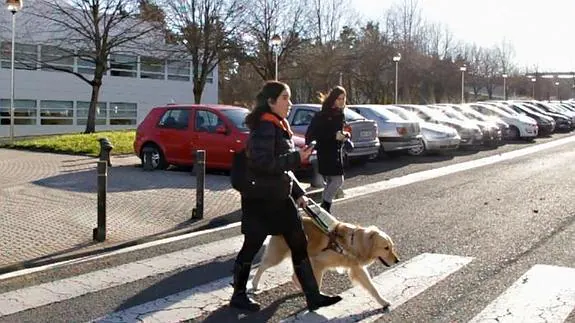 El test del GPS, ayer en San Sebastián. 