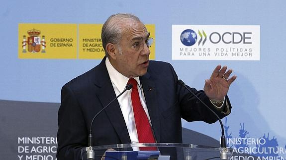 El secretario general de la OCDE, Ángel Gurría. 