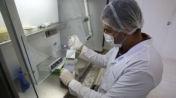 Los científicos trabajan contrarreloj para descubrir las características del zika. 
