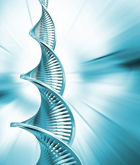 Imagen de la doble hélice de la cadena de  ADN. 