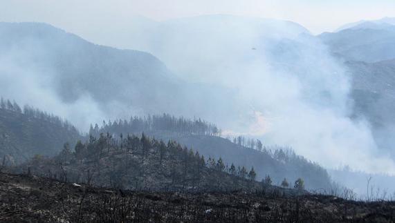 Un incendio forestal en Perú. 