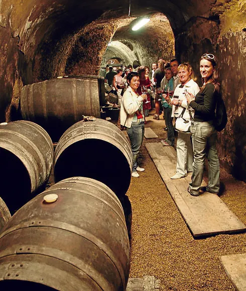 Visitantes catan el vino en el interior de una bodega