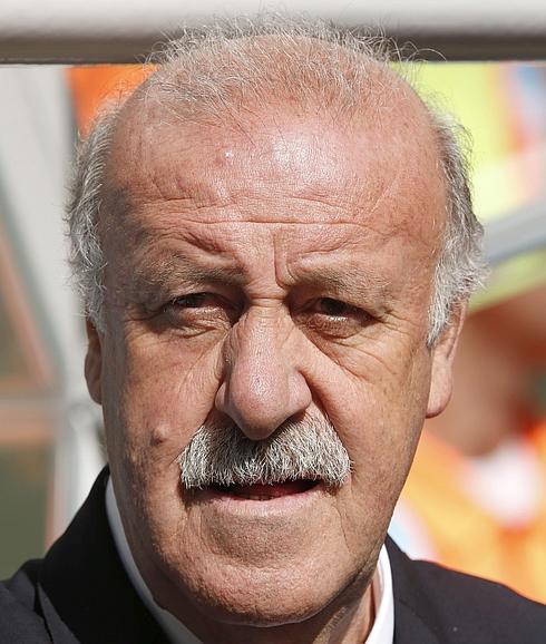 Vicente del Bosque durante el Mundial de Brasil 2014 