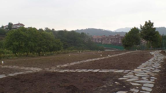 Los terrenos