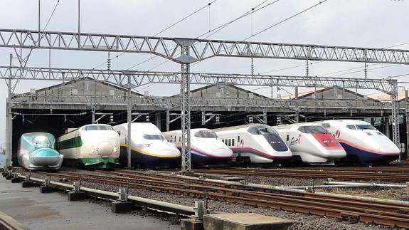 Diferentes series del 'tren bala' que cubren servicio en las líneas japonesas de alta velocidad. 