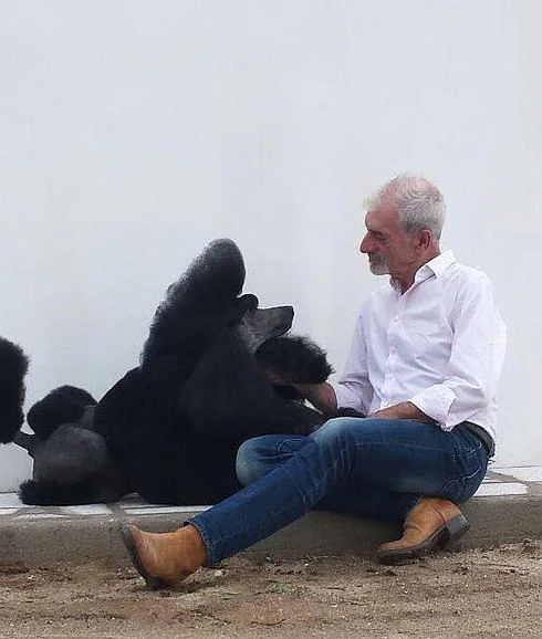 Un caniche gigante padre de 200 campeones