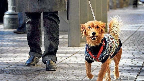 Un hombre pasea a su perro en una de las calles céntricas de la ciudad.