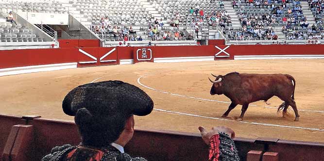 Los tendidos casí vacíos del Iradier Arena han sido la tónica de las últimas ferias taurinas.