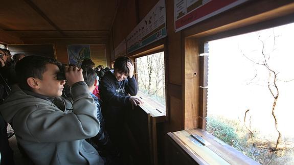 Un grupo de niños observa aves en el Urdaibai Bird Center.