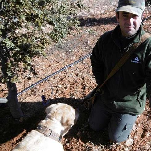 Los perros truferos buscan sus últimos tesoros