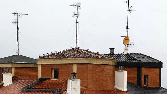 Varias antenas sobre unos tejados.