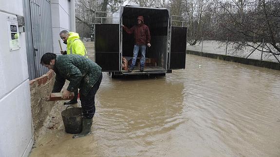 Varias personas tratan de proteger sus locales del agua tras las inundaciones del pasado enero.
