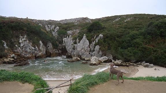 La playa de Gulpiyuri es la más pequeña del mundo.