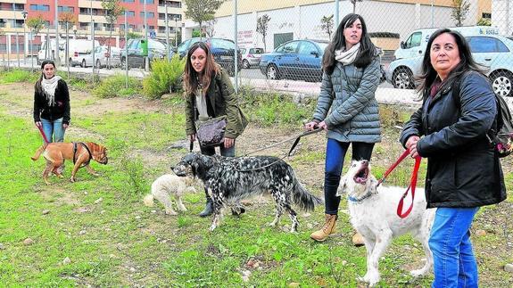 Miembros de la Asociación de Propietarios de Perros de La Rioja, con sus mascotas, en Logroño.