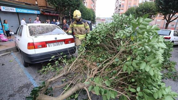 Los bomberos trabajan para retirar el árbol caído en Barakaldo. 