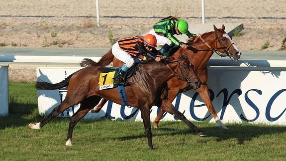 El hombre mató a palos tras un mal resultado en una carrera de trote en Manacor.