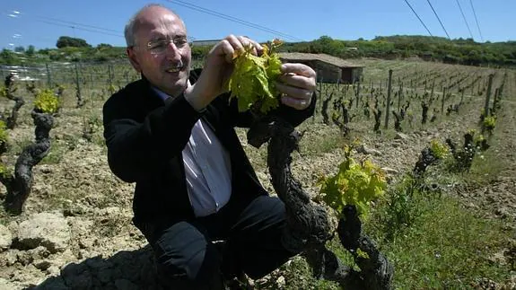 Juan Carlos López de Lacalle, propietario de Bodegas Artadi, en una viña en Laguardia. 