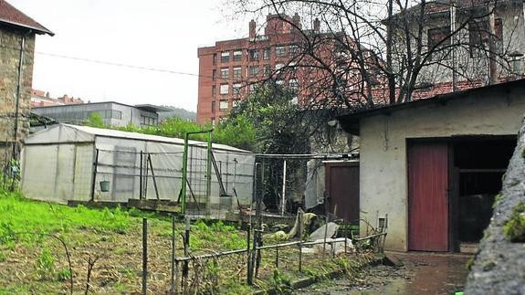 Los cerdos escaparon por la verja y deambularon media hora.