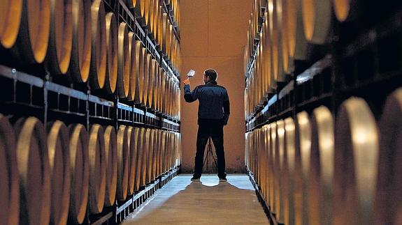 Rioja Alavesa produjo la pasada vendimia 90 millones de kilos de uva, la base económica de la comarca.
