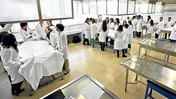 Sala de disección de la Facultad de Medicina de la UPV en el campus de Leioa.