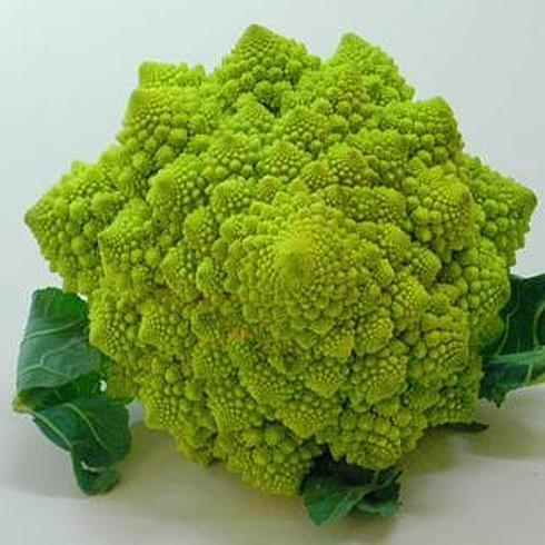 El romanescu es una planta del grupo de las coles brasicáceas.