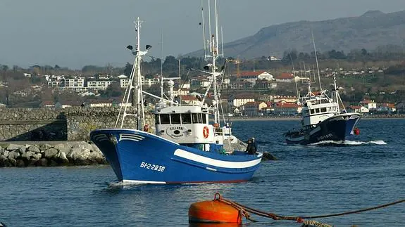 Caja Artículos de pesca de segunda mano baratos en Sevilla Provincia