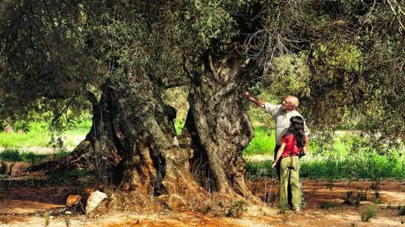 Manuel Cucala le muestra a Inés Ruiz el árbol de la película ‘El olivo’, que está en el municipio de Canet lo Roig.