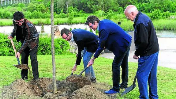 Patxi Lazcoz, Javier Maroto, Gorka Urtaran y José Ángel Cuerda plantan un roble Quercus robur. 