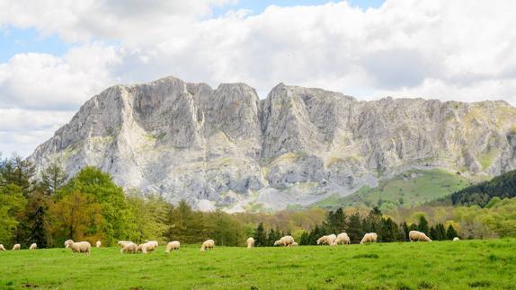 El objetivo es dotar a los ganaderos de herramientas que eviten un impacto medioambiental.