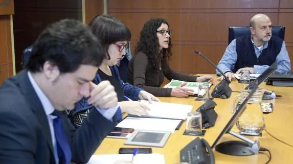 Victoria Molina, portavoz de la plataforma de afectados por Lanbide, interviene en el Parlamento Vasco.