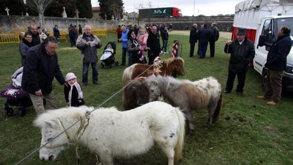 Los más pequeños tuvieron la oportunidad de acercarse a los ponis presentes en el recinto de El Ferial.