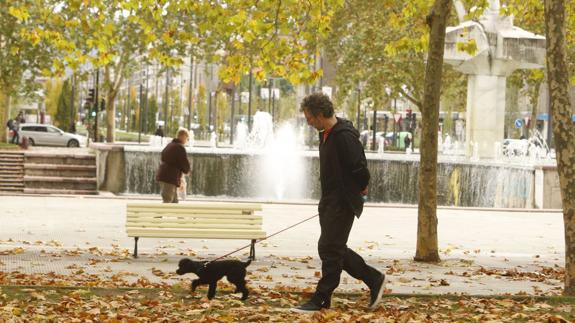 Tras un primer aviso, los dueños incívicos de perros serán multados.