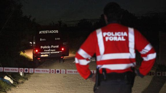 Efectivos de la Policía Foral, en el lugar del atropello de Tudela.