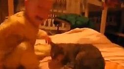 El bebé y el gato se acaban dando una buena tunda. /Youtube