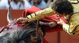 Escenas así no se verán en YouTube. /Afp