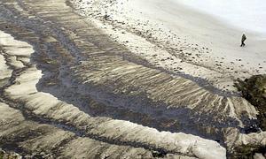 Un hombre camina por una playa gallega durante la marea negra del Prestige./ Reuters