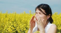 La temporada de alergia a las gramineas comienza en mayo./ Fotolia
